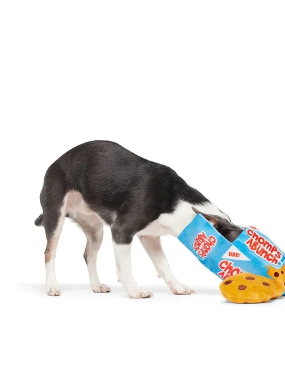 NEW BARK Cookie Box Dog Toy – Squeaky Plush Set